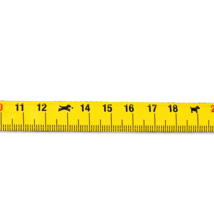 H-Harness - Ruler | Max & Molly