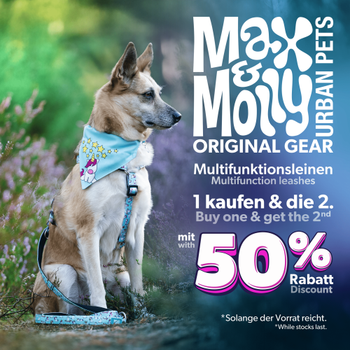 Multi Function Leash - Tropical