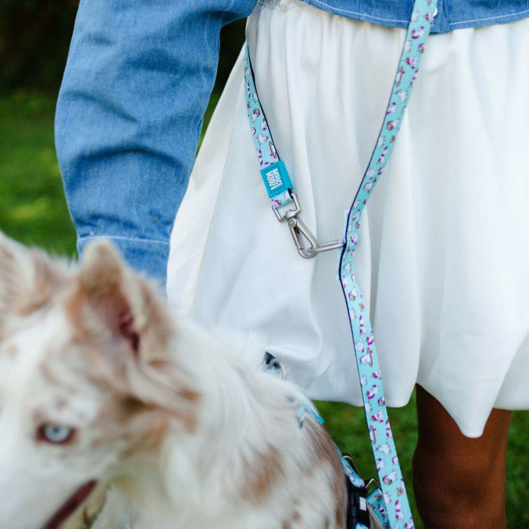 Multifunction Leash Multi Function Leash - Unicorn | Max & Molly