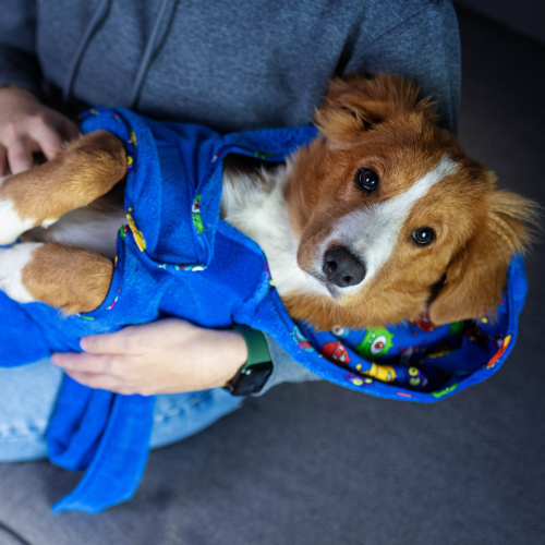 Dog Bathrobe - ORIGINAL Little Monsters